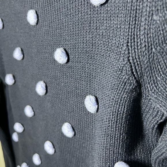 Talbots Petite Womens Navy Baubles Pom‎ Pom Polka Dot Cotton Blend Sweater Small - Picture 4 of 12